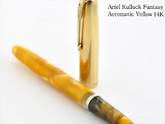parker51-aerometric-yellow1