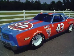 Richard Petty - 05 Richard Petty - 05