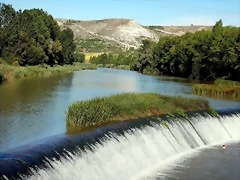 DSCN6381 DSCN6381