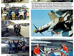 Grumman F-14 A-B-D Tomcat_page159