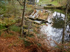 DSCN1303