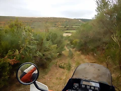 DSCN9895 DSCN9895