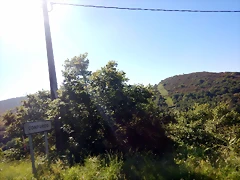 DSCN2147 DSCN2147