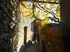 DSCN7777 DSCN7777