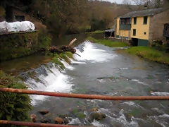 DSCN2884 DSCN2884