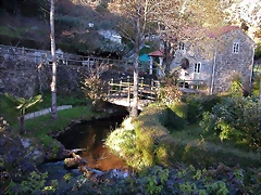 DSCN6645 DSCN6645