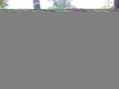 DSCN9450 DSCN9450