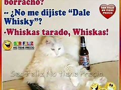 FB_IMG_1524940043994 FB_IMG_1524940043994