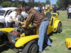 SDC13526 SDC13526