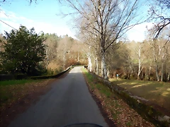 DSCN9334 DSCN9334
