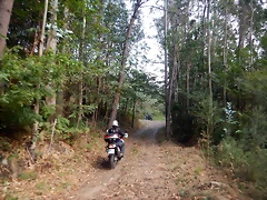 DSCN0505 DSCN0505
