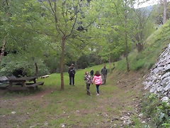 IMAG1545