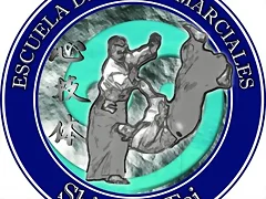 ESCUDO SHIN GI TAI
