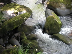 DSCN2797 DSCN2797
