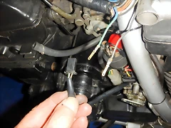 DSCN5890 DSCN5890