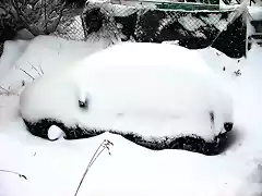 Mi auto Fiat Idea Adventure cubierto por la nieve