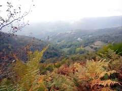 DSCN0201