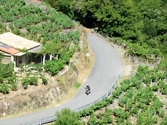 IMG_3896 IMG_3896