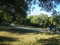 P6100679 P6100679