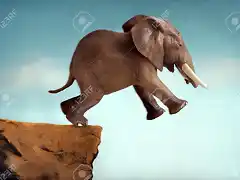 43691679-salto-del-concepto-de-fe-elefante-salto-en-el-vac?o