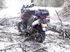 trail 3