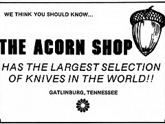 1980 Acorn 1980 Acorn