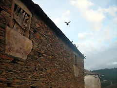 DSCN5363 DSCN5363