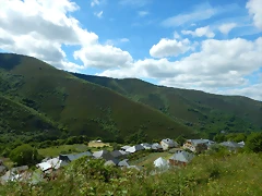 Murias