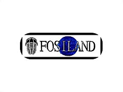 logofosiland-tile