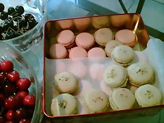 Photo016