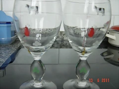 DSC04235