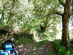 DSCN2309 DSCN2309