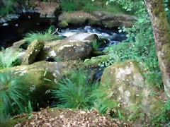P1010201 P1010201