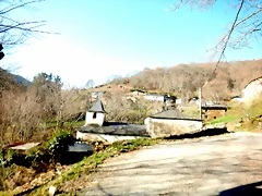 DSCN3906