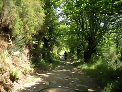DSCN5770 DSCN5770