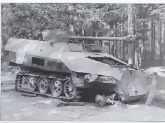 panzer150307