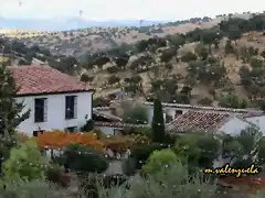 14, la parrilla baja, marca