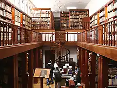 Domingo biblioteca