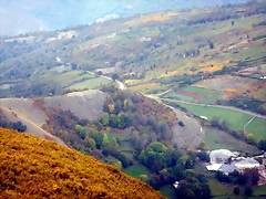 DSCN0186