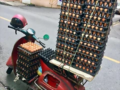 Vespa Huevos