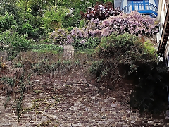 Muro en Cour des Mineurs