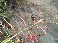IMG_20161125_090230 IMG_20161125_090230