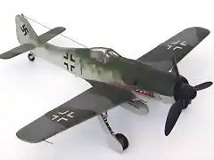 Fw-19008