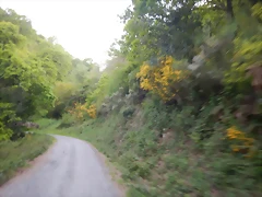 DSCN2143 DSCN2143