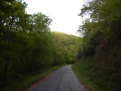 DSCN2142 DSCN2142
