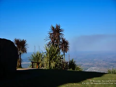 DSC_0777 DSC_0777