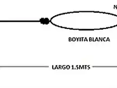 linealenguado