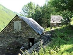 IMG_6753 IMG_6753