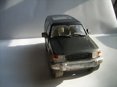 DSCN3011