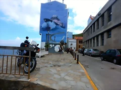DSCN5350 DSCN5350